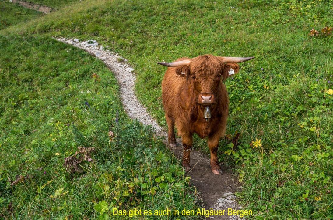 Top Ferienwohnung In Lauben Bei Kempten エクステリア 写真